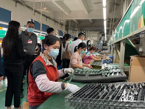 家門口學(xué)技能 就好業(yè)——中山持續(xù)派發(fā)就業(yè)服務(wù)大禮包，信息技術(shù)咨詢服務(wù)成亮點(diǎn)